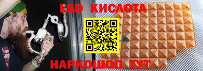 крисы Севастополь