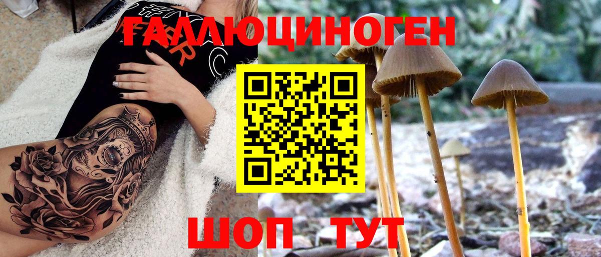 Галлюциногенные грибы Cubensis  Вход с VPN  Рузаевка 