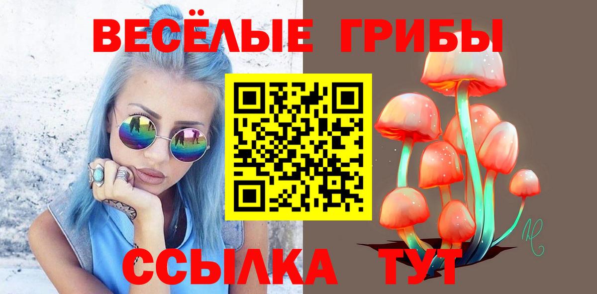 Псилоцибиновые грибы MAGIC MUSHROOMS Рузаевка